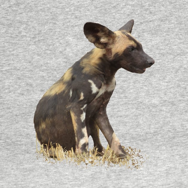 Wilddog in Kenya / Africa by T-SHIRTS UND MEHR